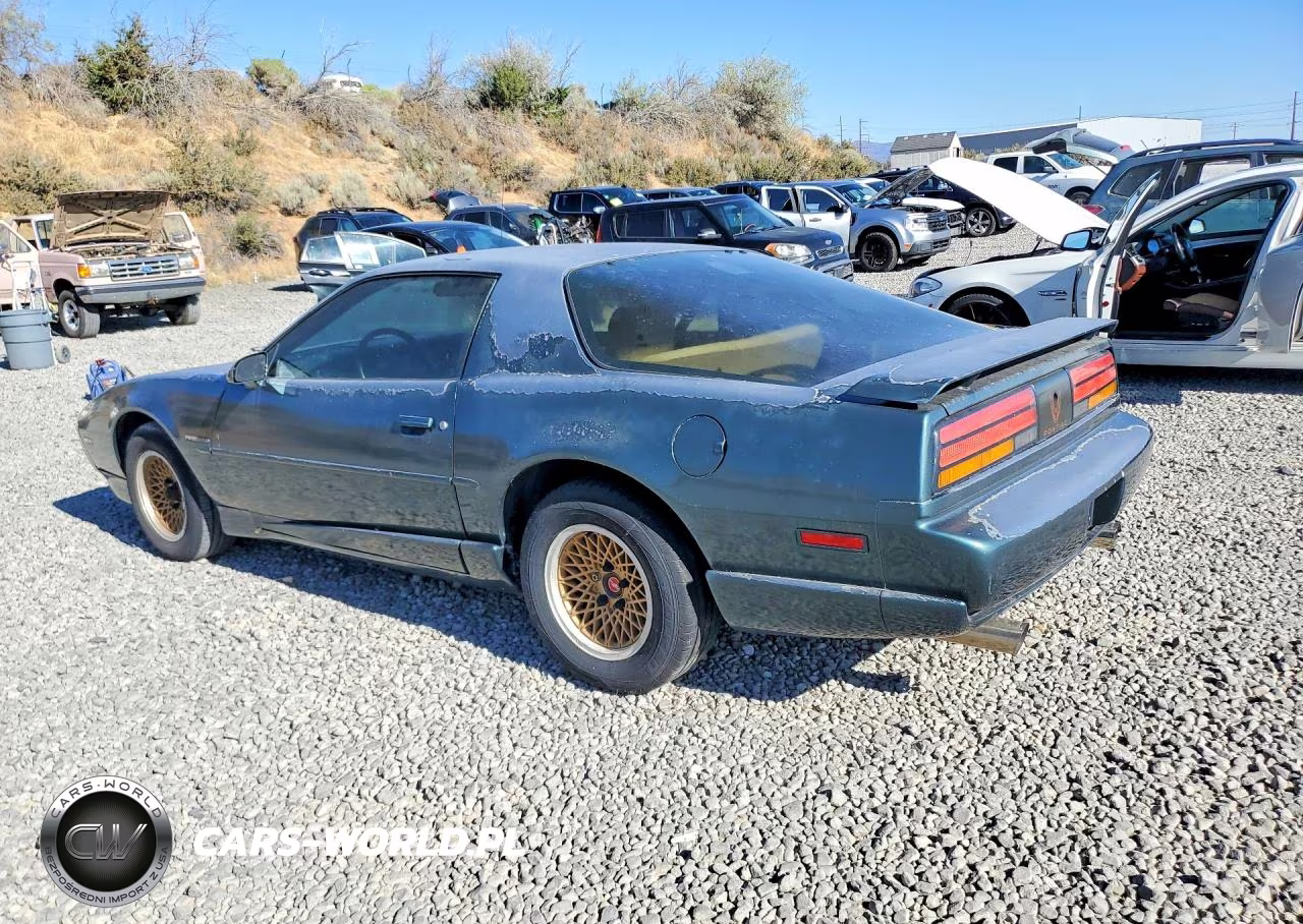 1992 Pontiac Firebird Base VIN:1G2FS23E2NL227403 - 2