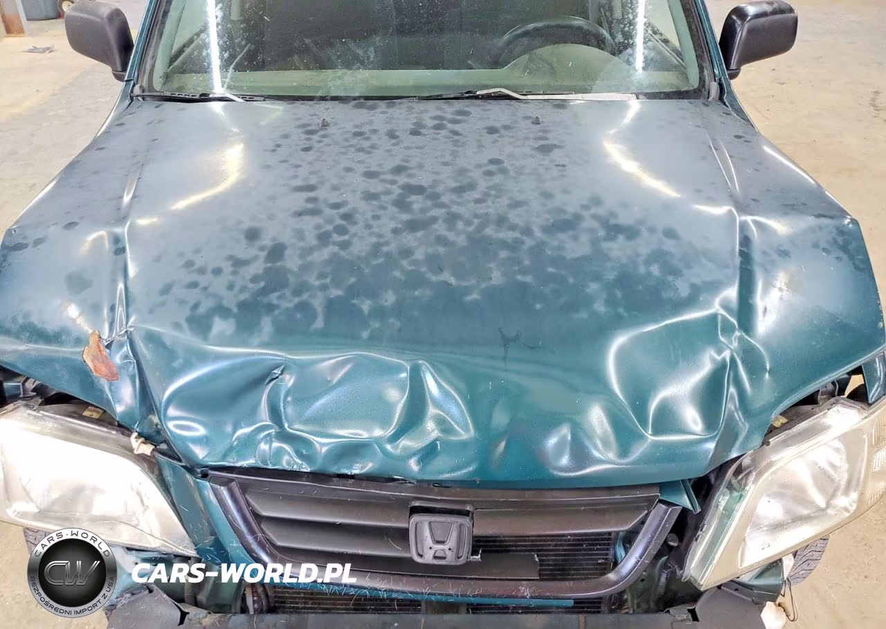 1999 Honda Cr-V Lx VIN:JHLRD1844XC010728 - 12
