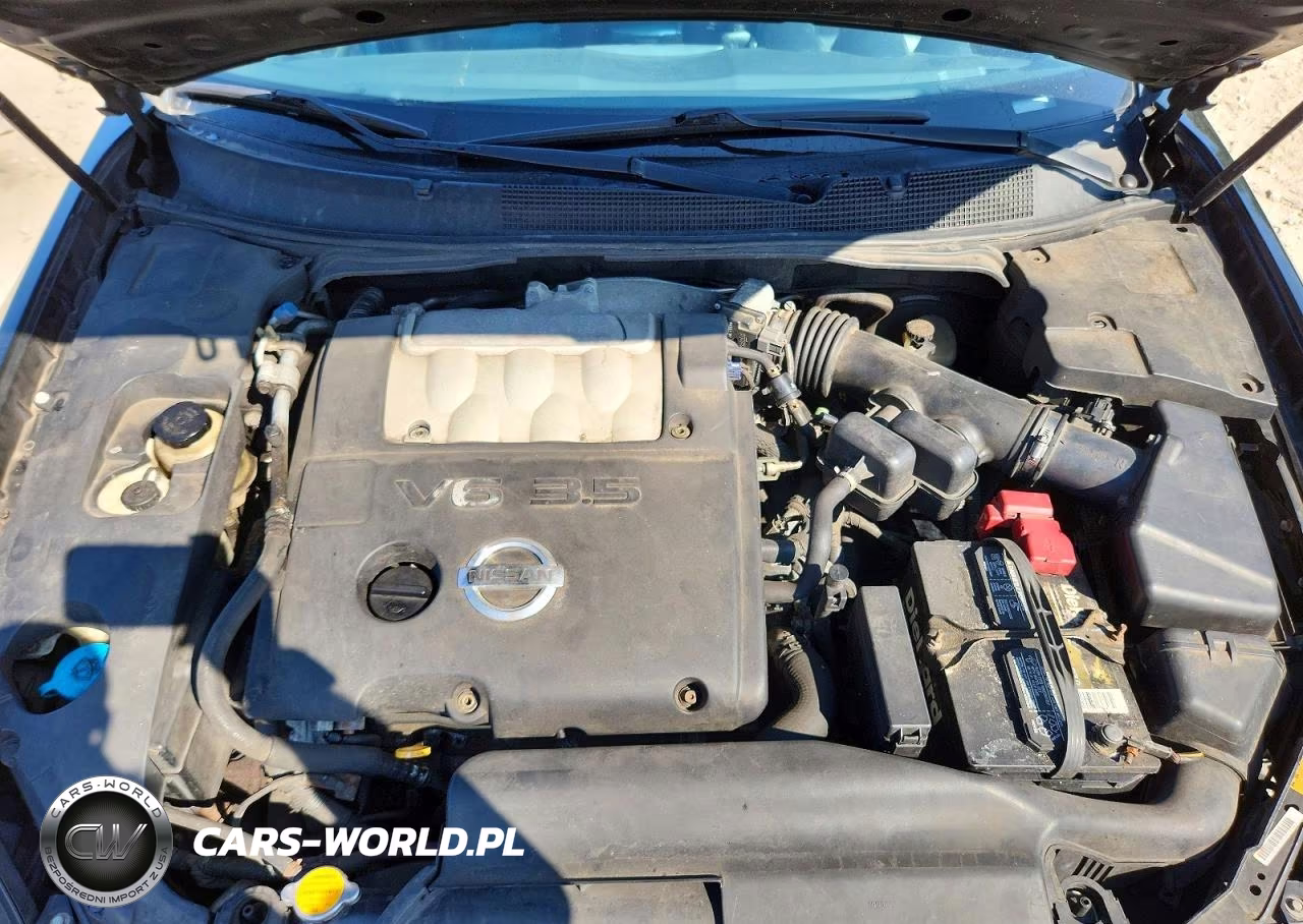 2004 Nissan Maxima 3.5 Se VIN:1N4BA41E44C862865 - 11