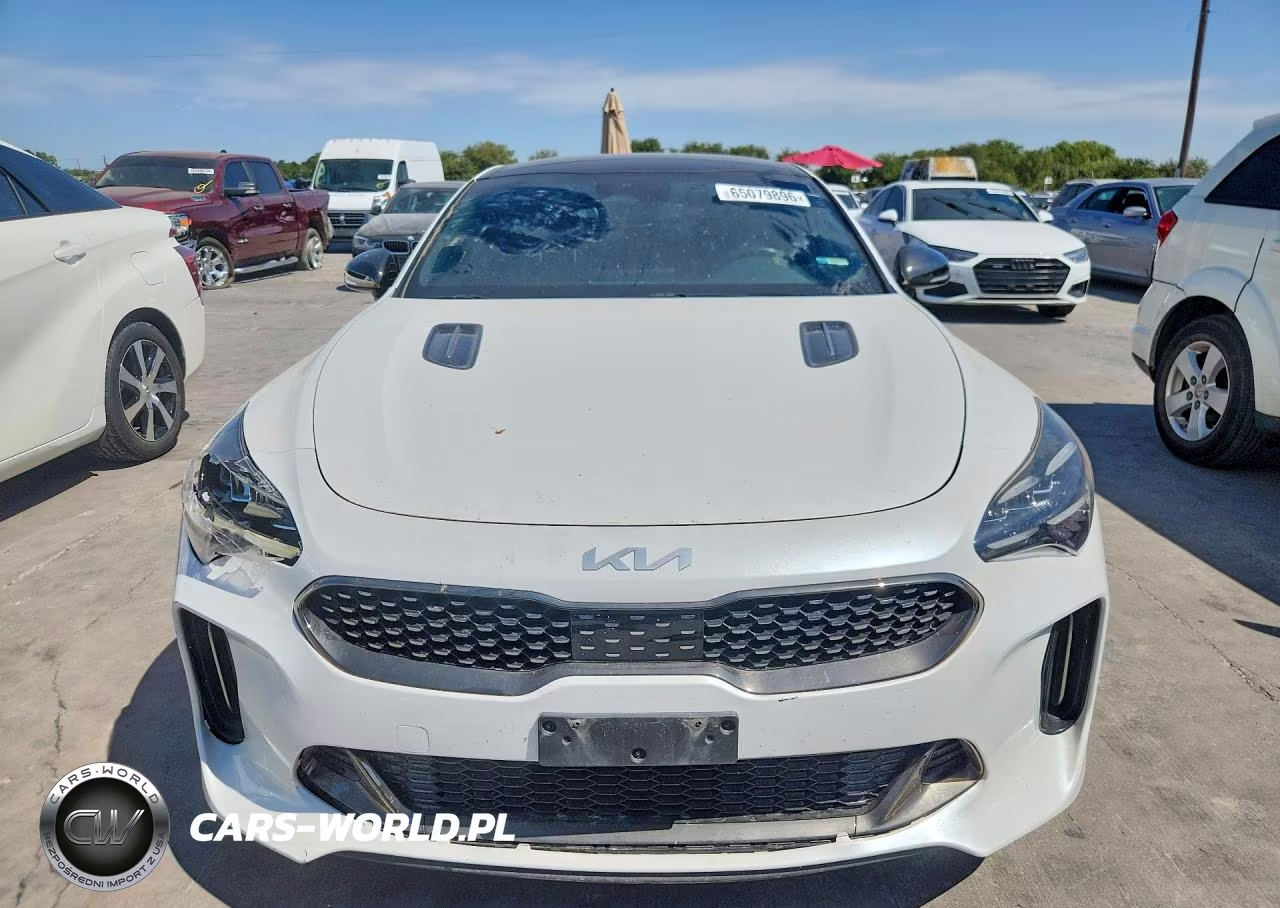 2023 Kia Stinger Gt Line VIN:KNAE35LD9P6131084 - 5
