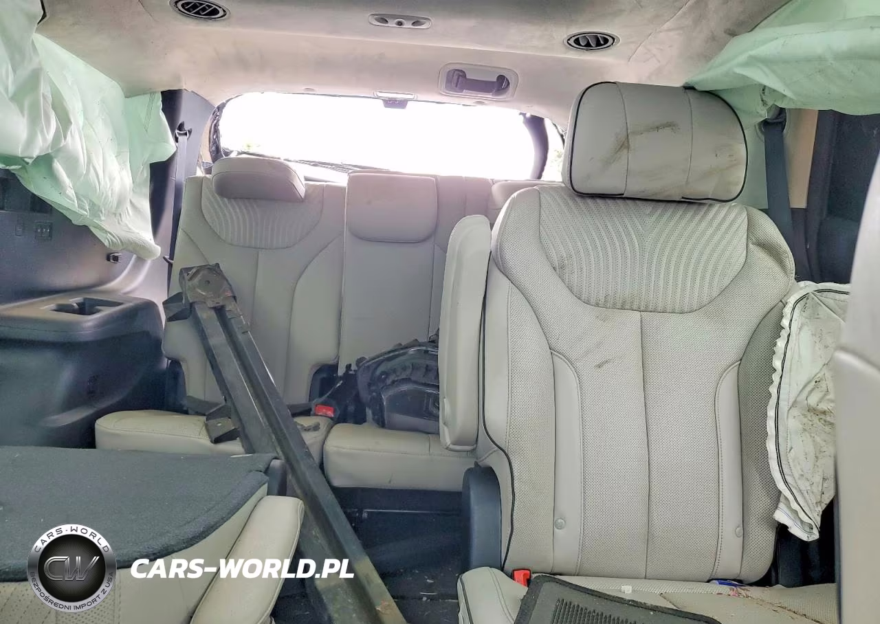 2024 Hyundai Palisade Calligraphy VIN:KM8R7DGE1RU655572 - 10