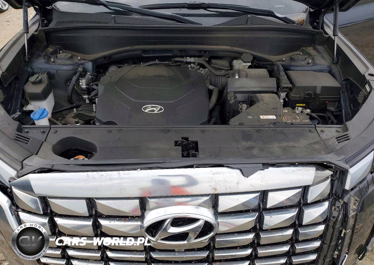 2024 Hyundai Palisade Calligraphy VIN:KM8R7DGE1RU655572 - 12