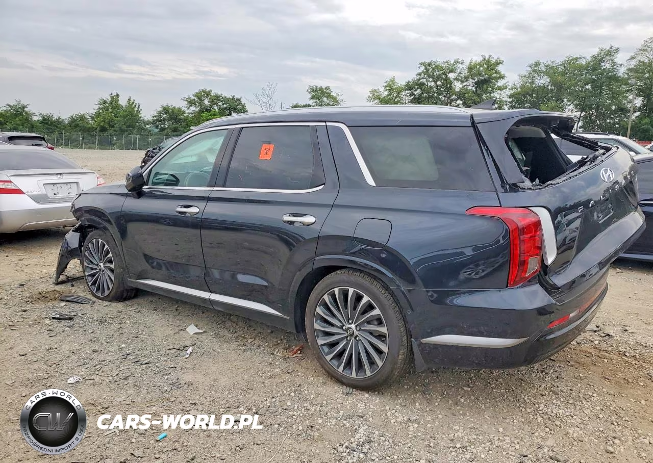 2024 Hyundai Palisade Calligraphy VIN:KM8R7DGE1RU655572 - 2