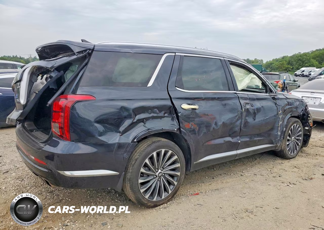 2024 Hyundai Palisade Calligraphy VIN:KM8R7DGE1RU655572 - 3