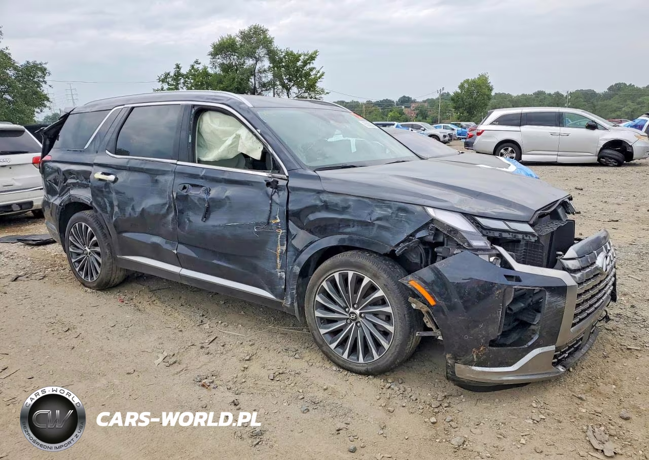 2024 Hyundai Palisade Calligraphy VIN:KM8R7DGE1RU655572 - 4