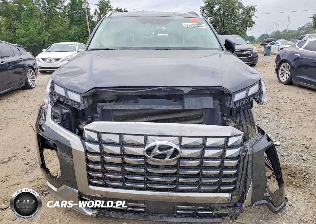 2024 Hyundai Palisade Calligraphy VIN:KM8R7DGE1RU655572 - 5