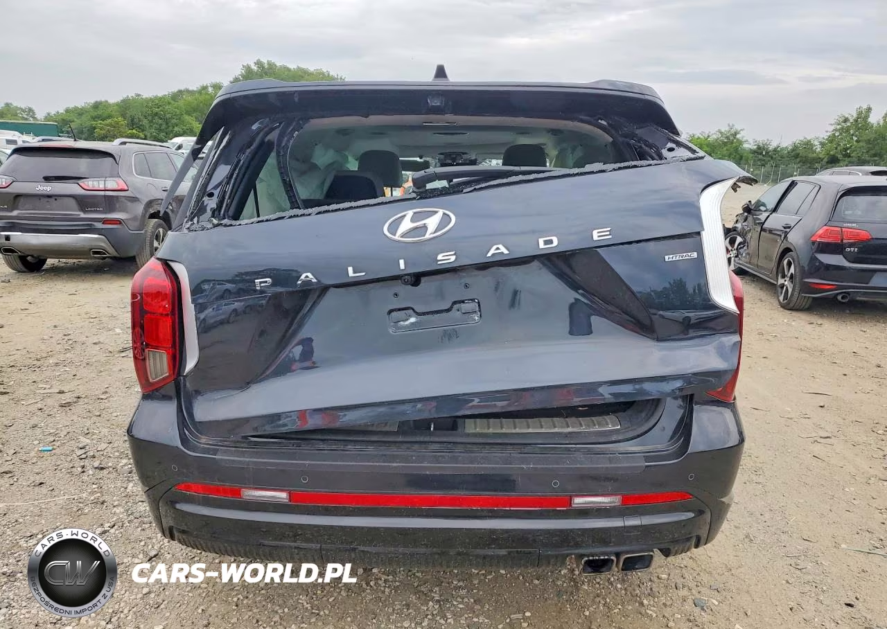 2024 Hyundai Palisade Calligraphy VIN:KM8R7DGE1RU655572 - 6