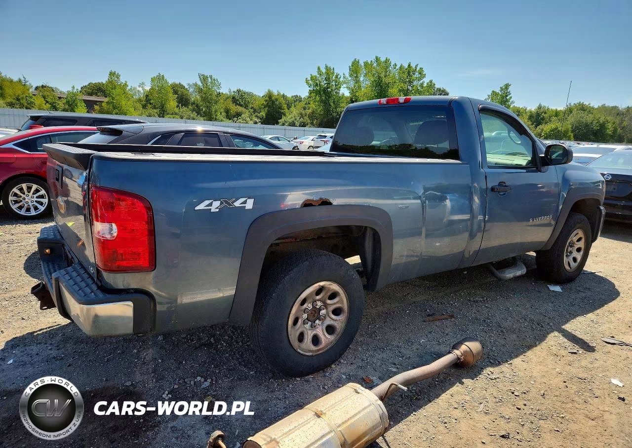 2010 Chevrolet Silverado K1500 VIN:1GCPKPEAXAZ277545 - 3