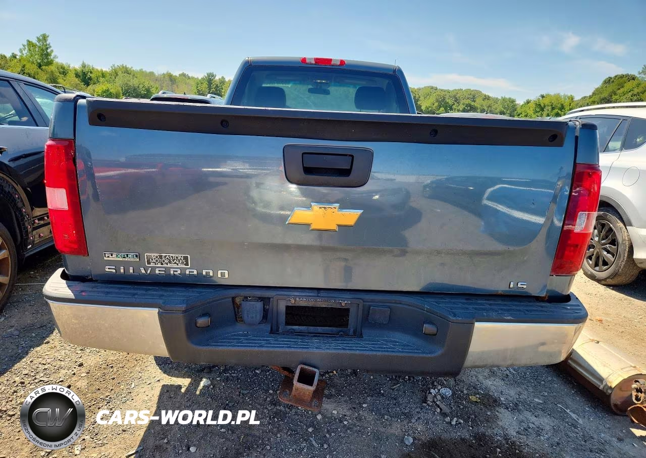 2010 Chevrolet Silverado K1500 VIN:1GCPKPEAXAZ277545 - 6