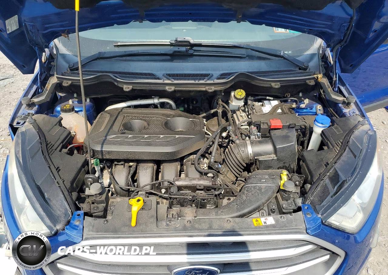 2020 Ford Ecosport Se VIN:MAJ6S3GL2LC334285 - 12