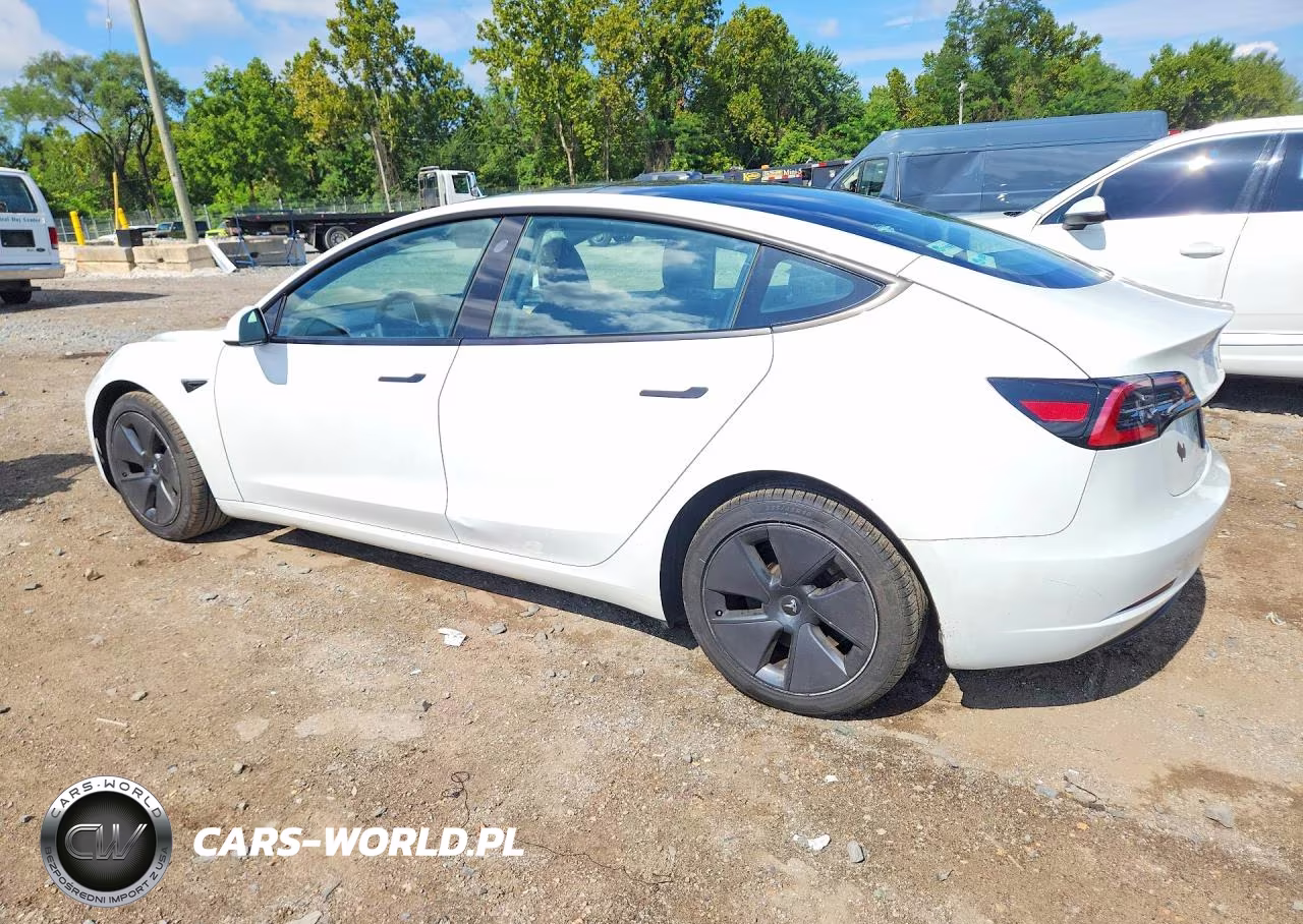 2023 Tesla Model 3 VIN:5YJ3E1EA7PF566075 - 2