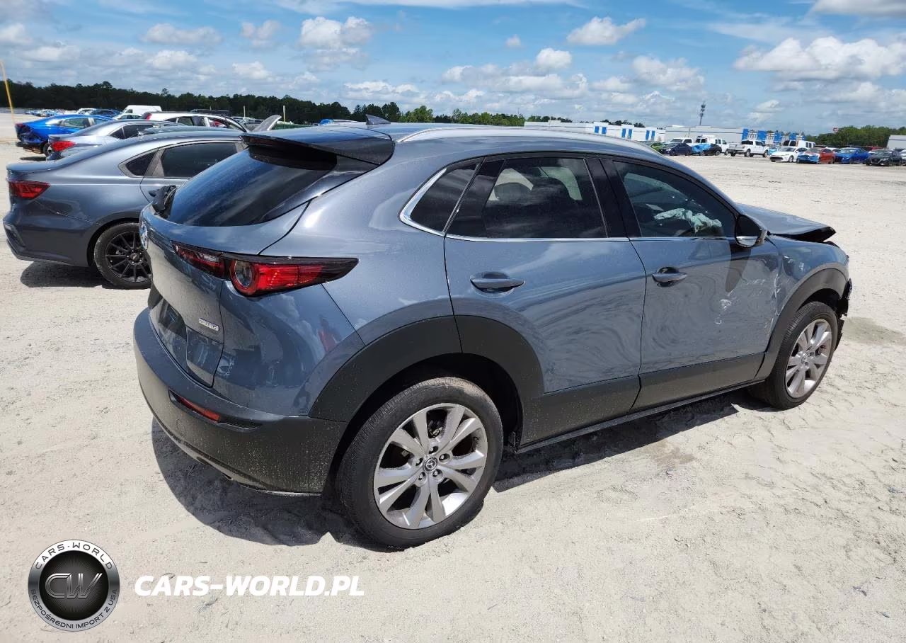 2020 Mazda Cx-30 Premium VIN:3MVDMAEM8LM127148 - 3
