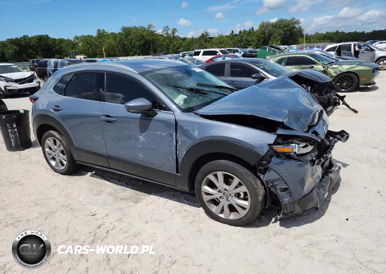 2020 Mazda Cx-30 Premium VIN:3MVDMAEM8LM127148 - 4