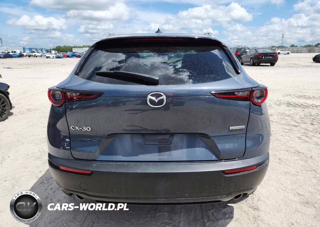 2020 Mazda Cx-30 Premium VIN:3MVDMAEM8LM127148 - 6