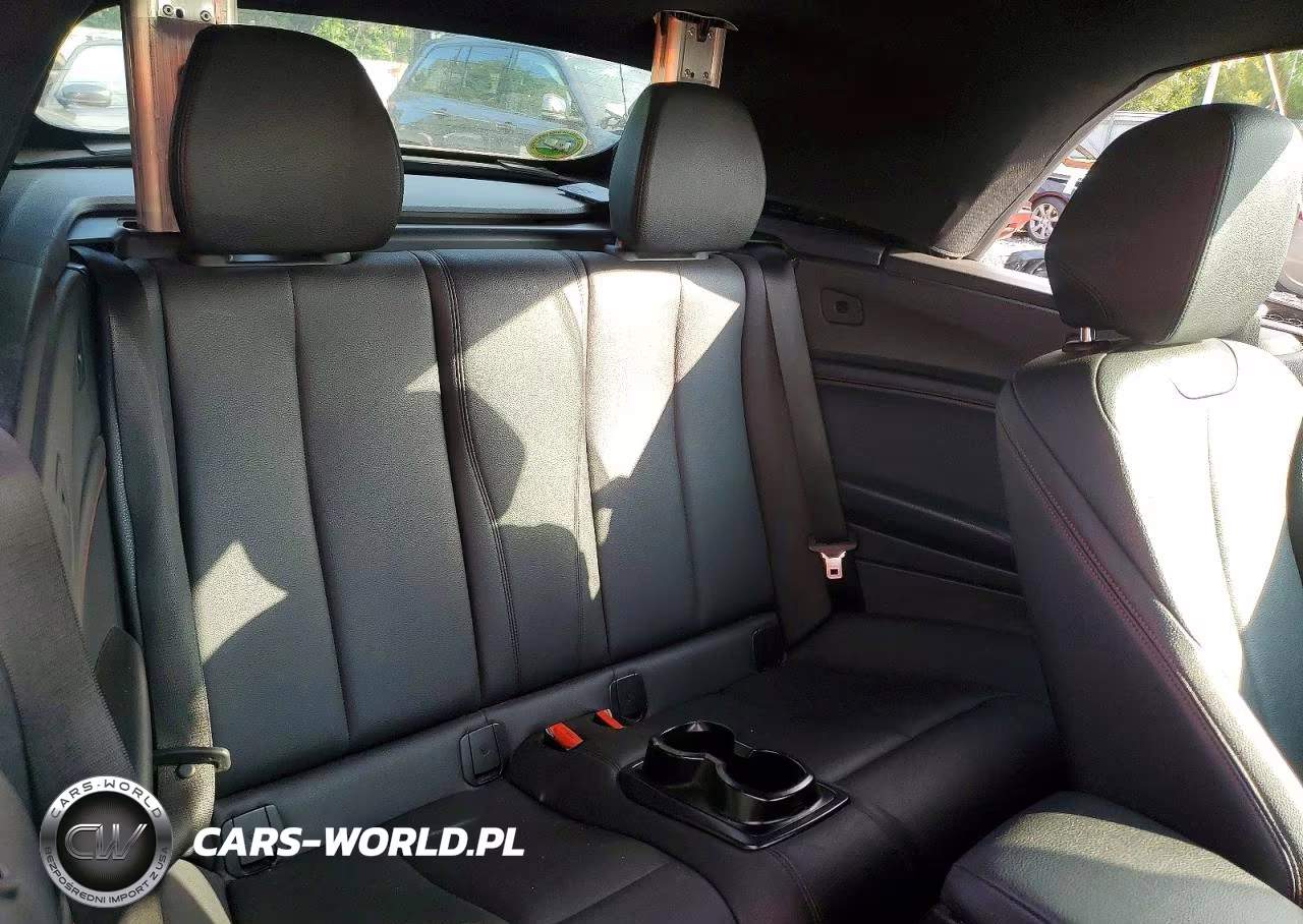 2017 BMW 230Xi VIN:WBA2M9C58HV717198 - 10