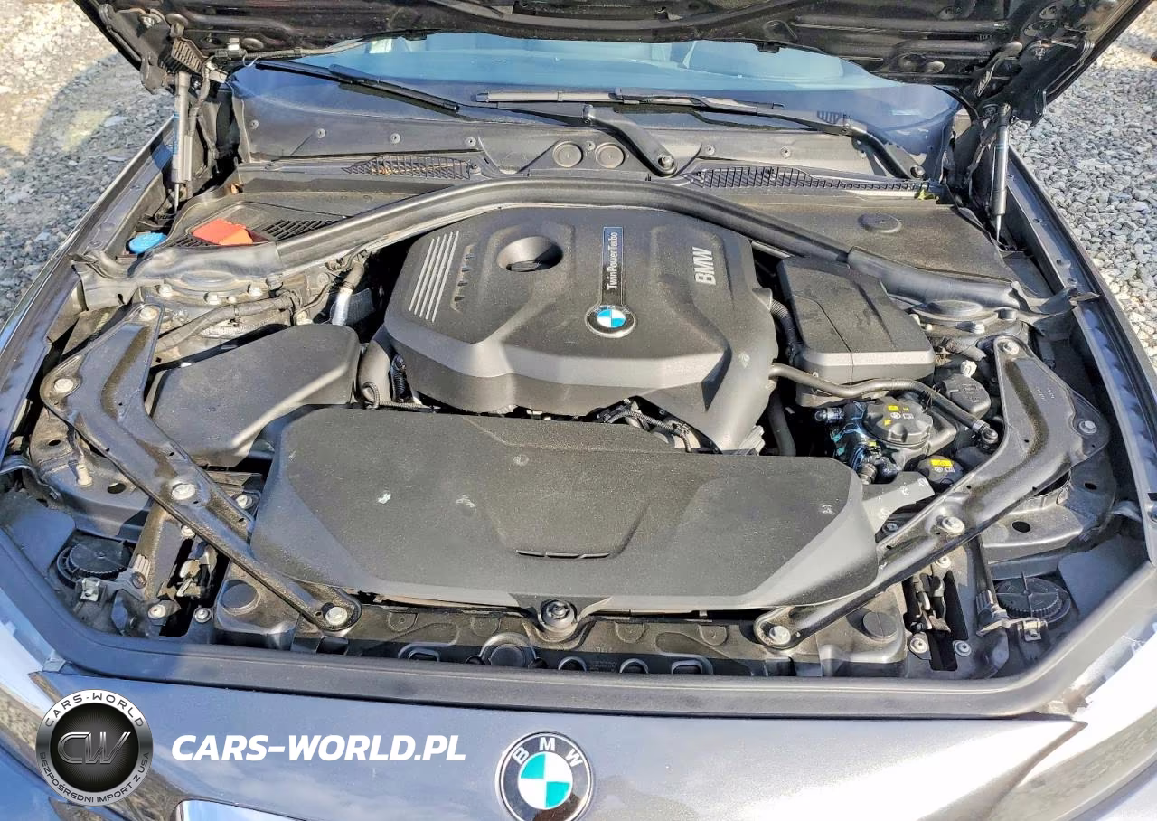 2017 BMW 230Xi VIN:WBA2M9C58HV717198 - 11