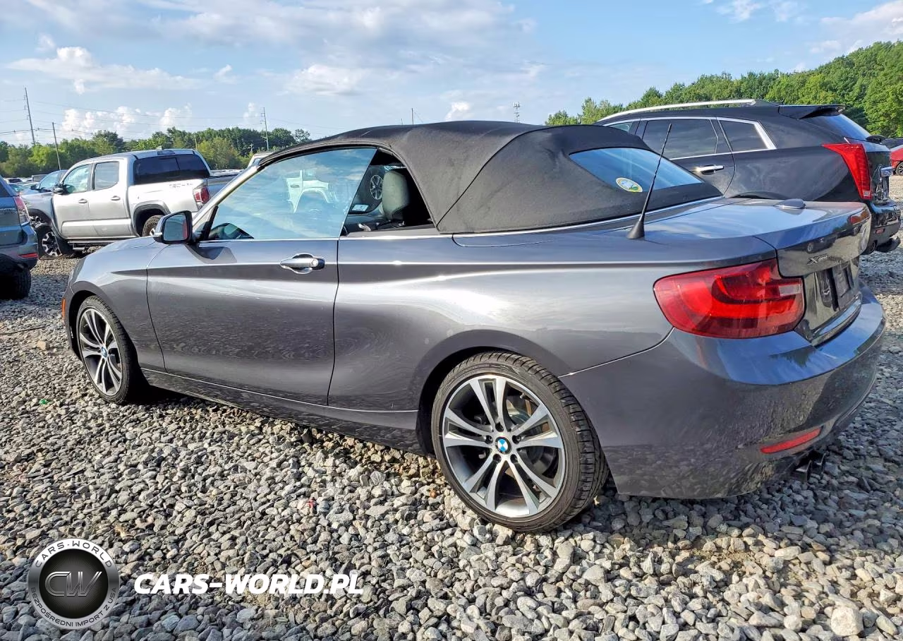 2017 BMW 230Xi VIN:WBA2M9C58HV717198 - 2