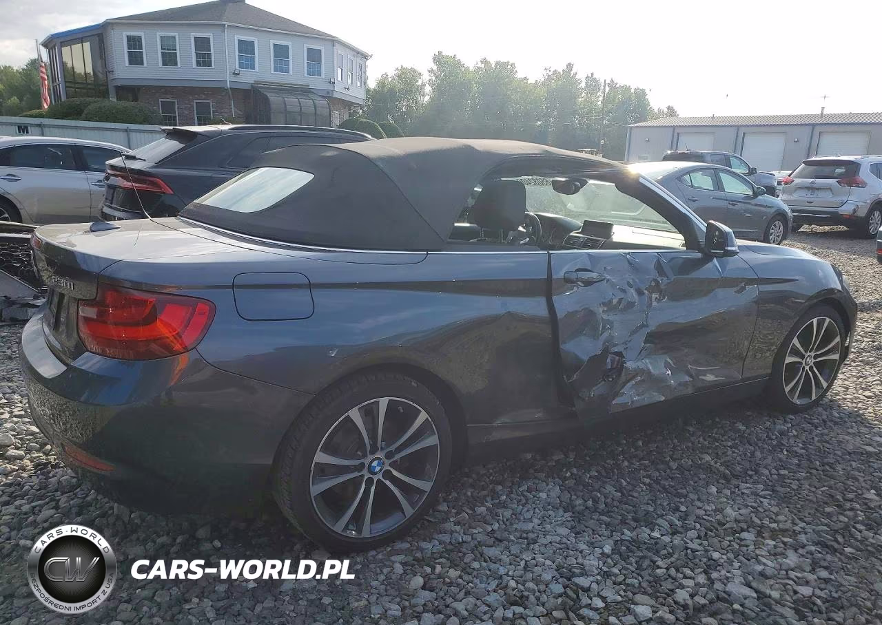 2017 BMW 230Xi VIN:WBA2M9C58HV717198 - 3