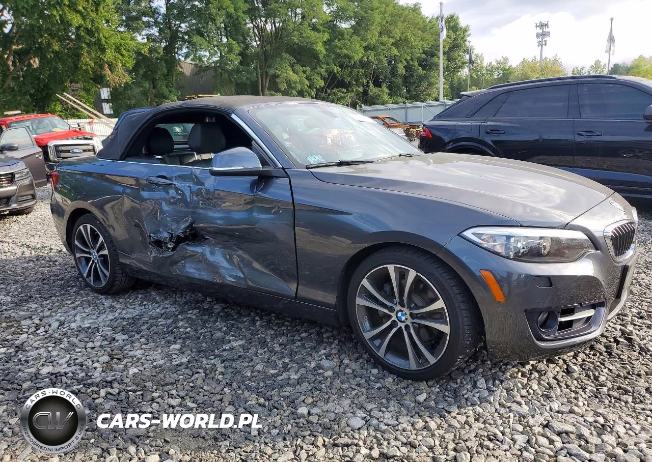 2017 BMW 230Xi VIN:WBA2M9C58HV717198 - 4