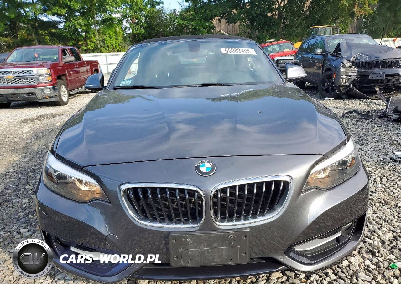 2017 BMW 230Xi VIN:WBA2M9C58HV717198 - 5