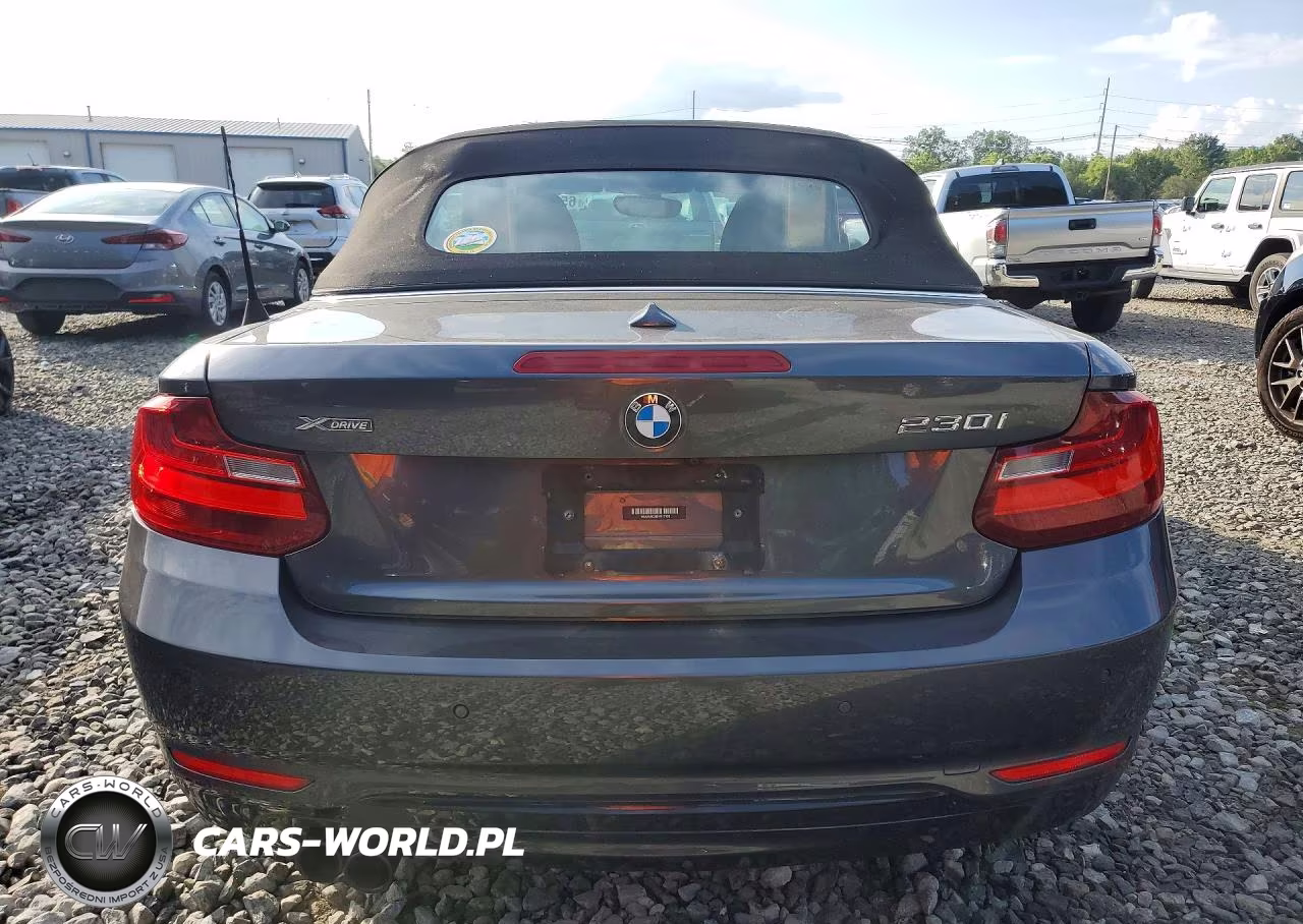 2017 BMW 230Xi VIN:WBA2M9C58HV717198 - 6