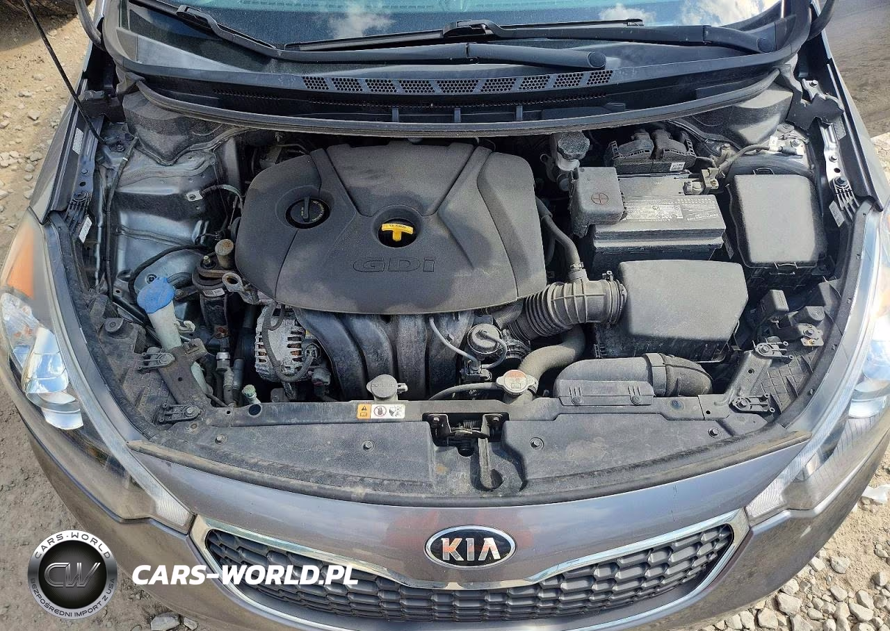 2016 Kia Forte Ex VIN:KNAFX4A8XG5504986 - 11