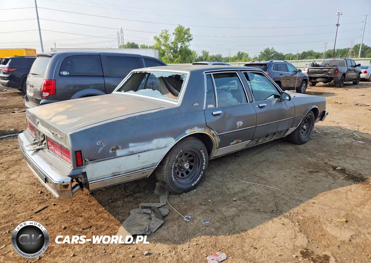 1988 Chevrolet Caprice Classic VIN:1G1BN51H2JR136132 - 3