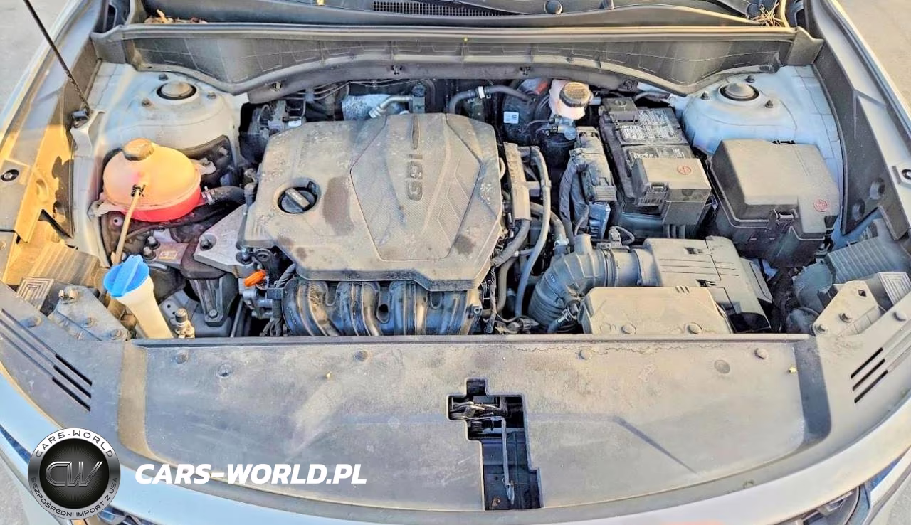 2023 Kia Sorento S VIN:5XYRLDLC2PG172658 - 12
