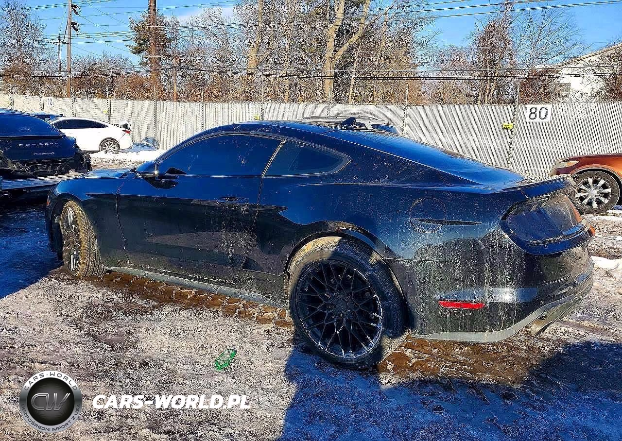 2021 Ford Mustang VIN:1FA6P8TH8M5149132 - 2
