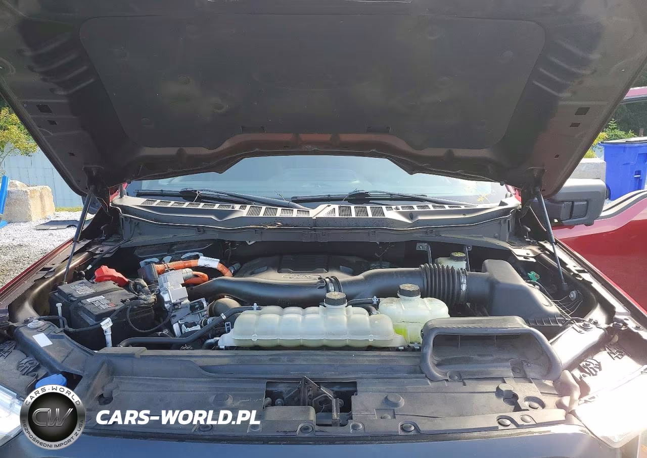 2022 Ford F150 Supercrew VIN:1FTFW1ED1NFA23107 - 11