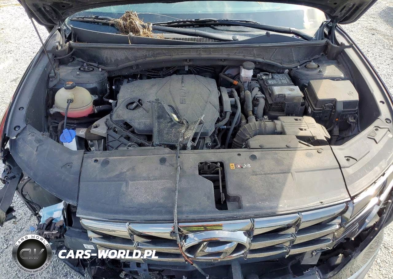 2023 Hyundai Tucson Limited VIN:5NMJECAE7PH202667 - 12
