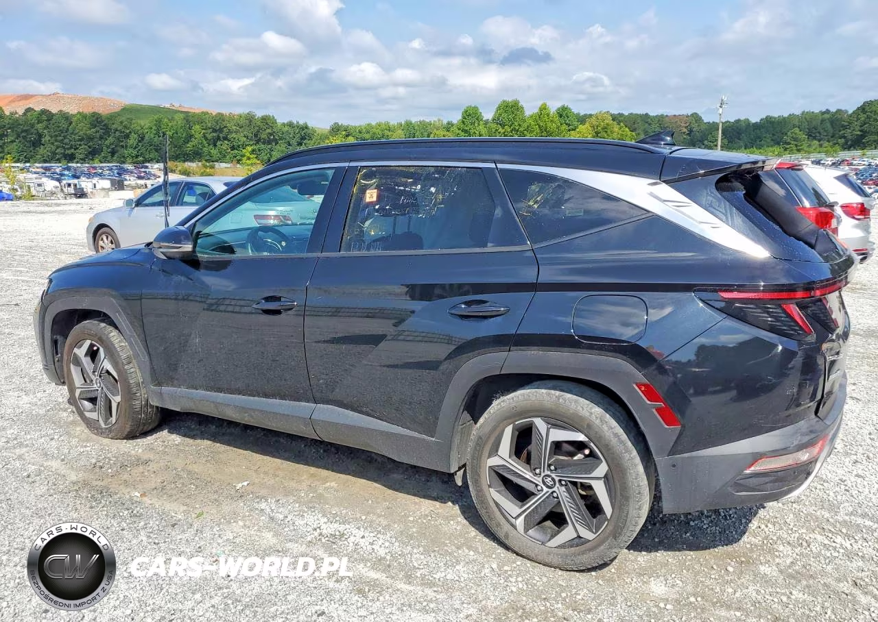 2023 Hyundai Tucson Limited VIN:5NMJECAE7PH202667 - 2