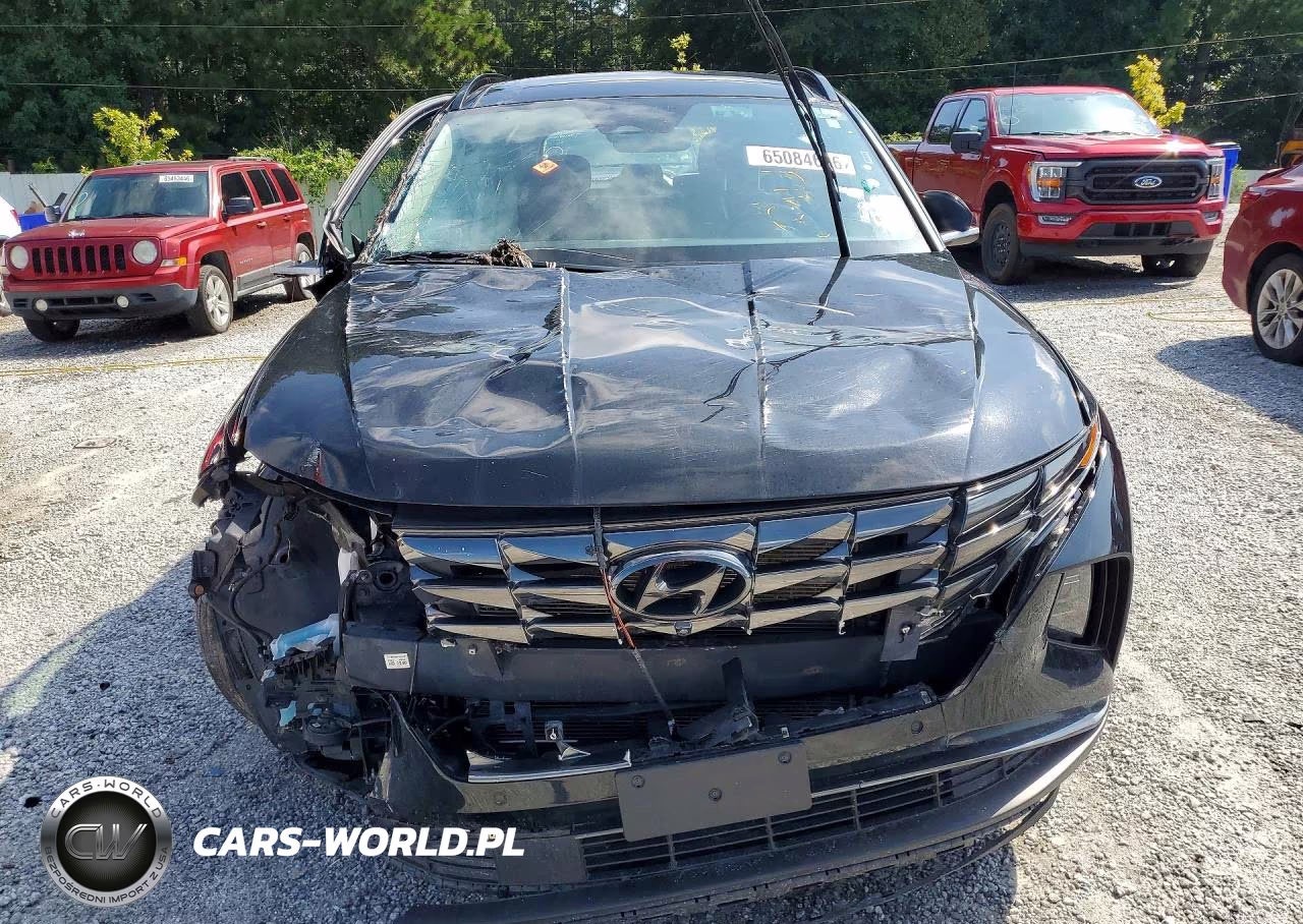 2023 Hyundai Tucson Limited VIN:5NMJECAE7PH202667 - 5