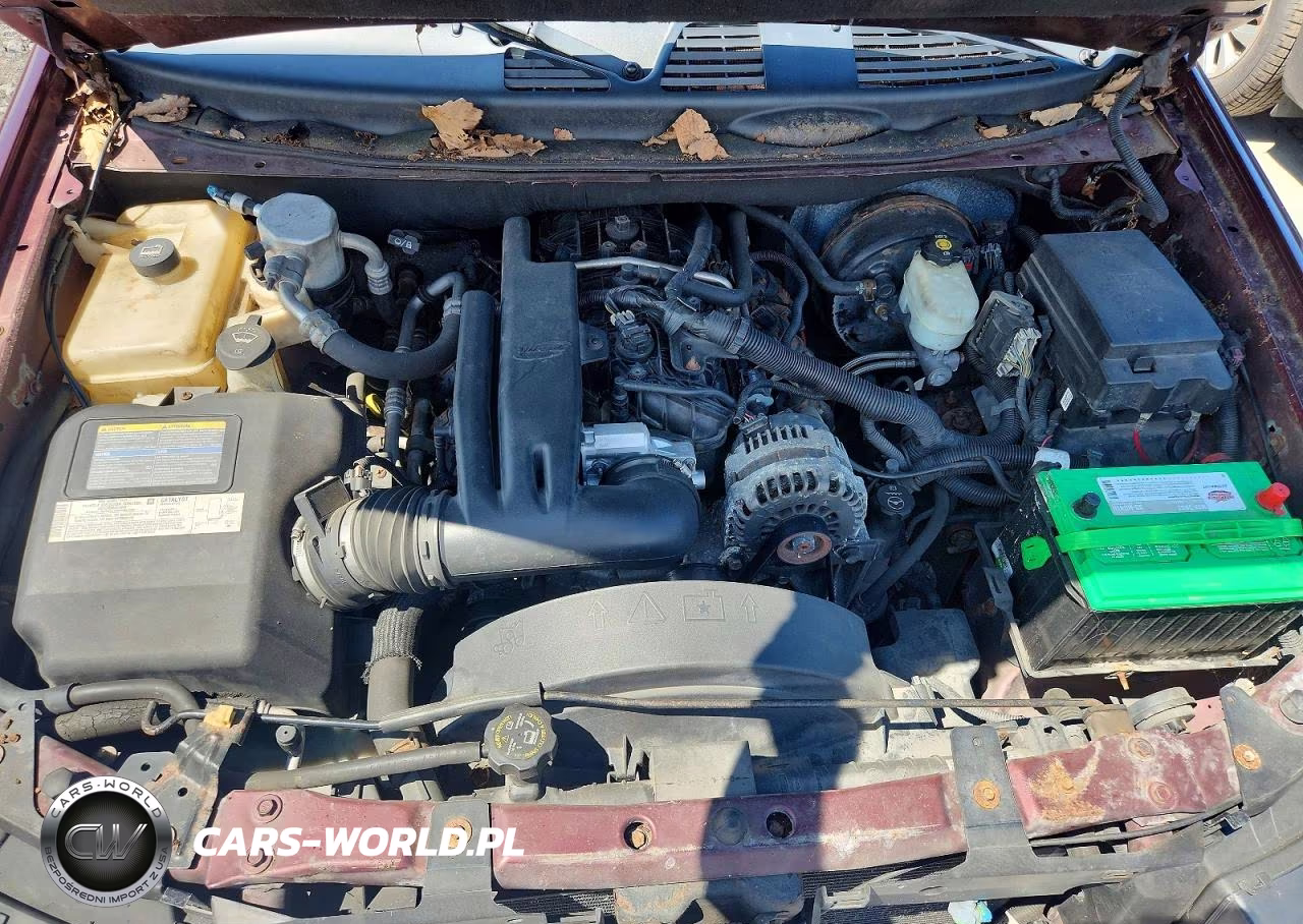 2006 Chevrolet Trailblazer Ls VIN:1GNET13M762143548 - 12