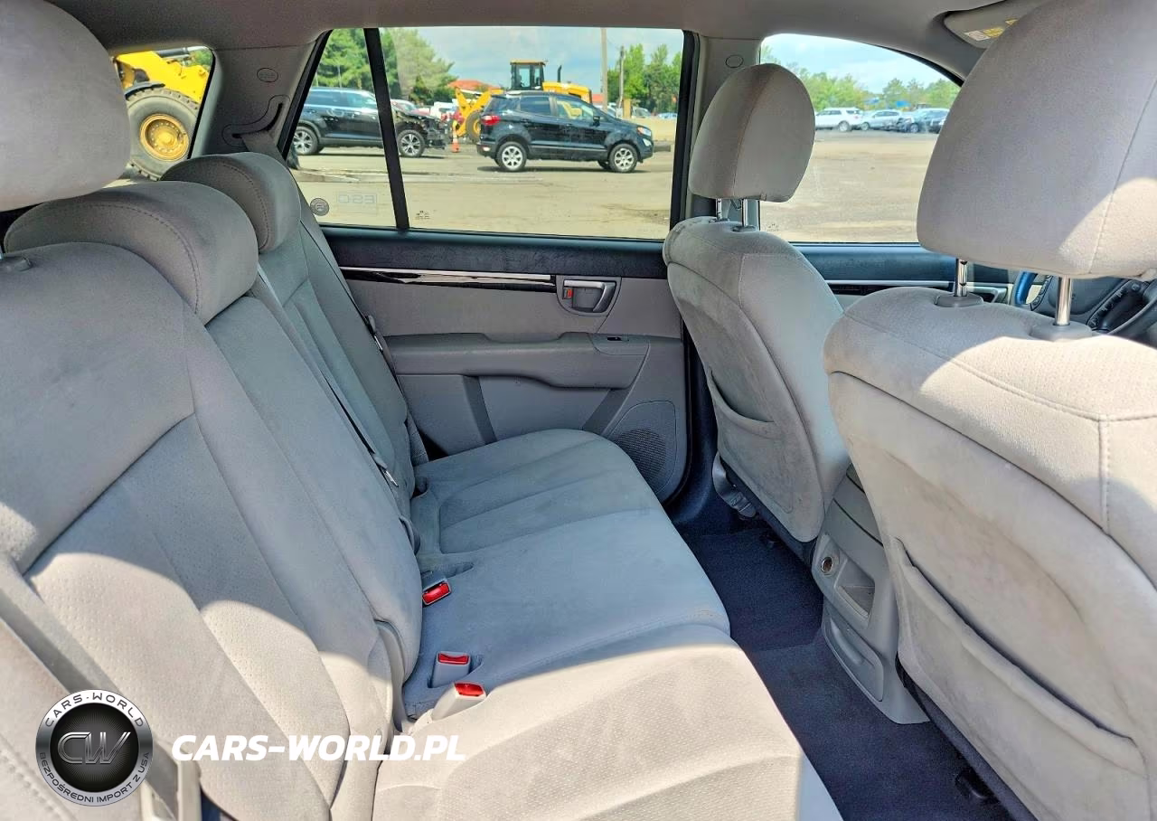 2009 Hyundai Santa Fe Gls VIN:5NMSG13D39H293706 - 11
