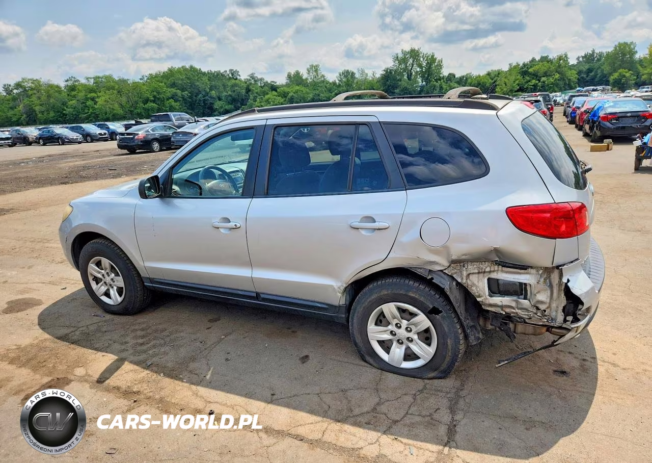 2009 Hyundai Santa Fe Gls VIN:5NMSG13D39H293706 - 2