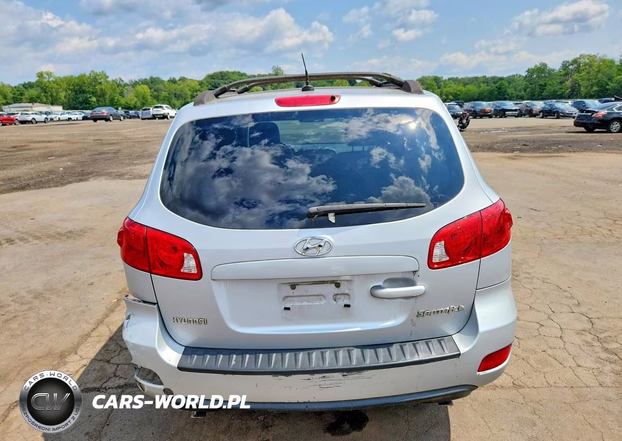 2009 Hyundai Santa Fe Gls VIN:5NMSG13D39H293706 - 6