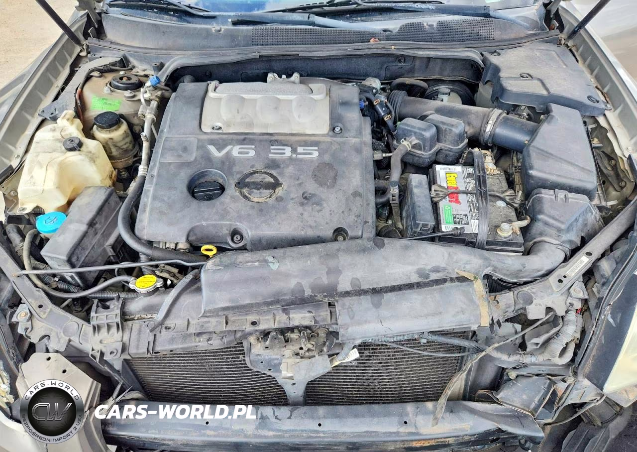2004 Nissan Maxima 3.5 Se VIN:1N4BA41E64C864052 - 11