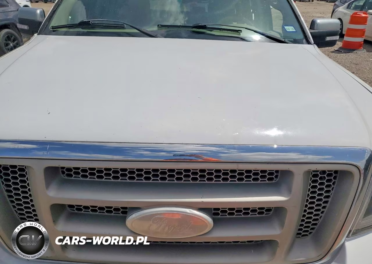 2006 Ford F150 Supercrew VIN:1FTRW12W66FA86210 - 11