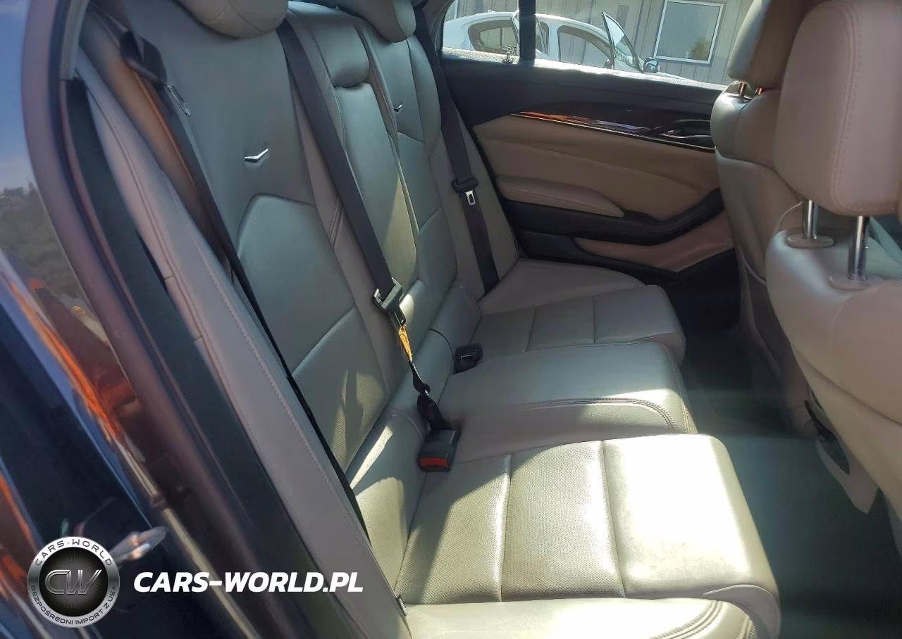 2014 Cadillac Cts Luxury Collection VIN:1G6AR5SX1E0126184 - 10