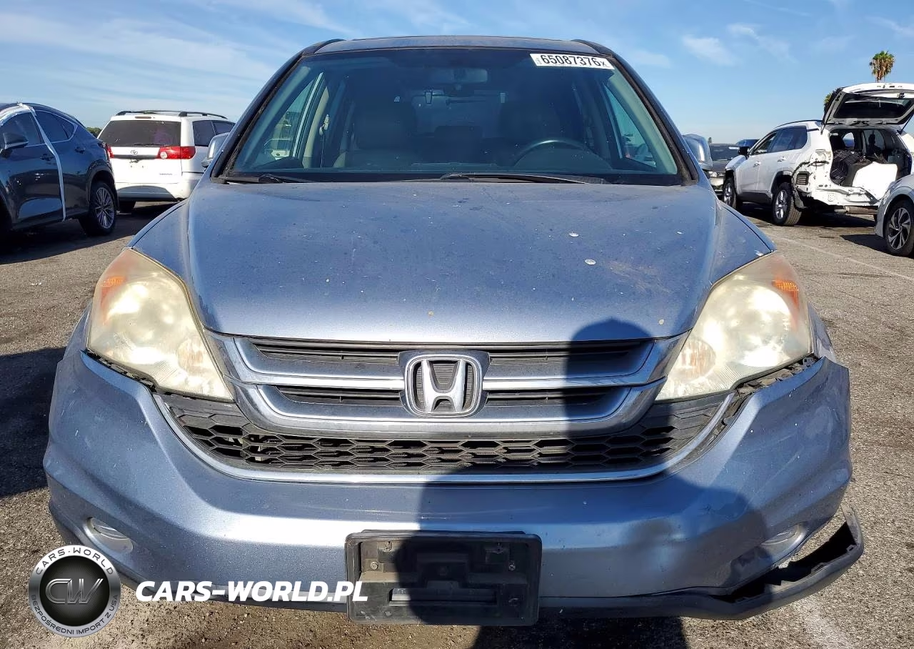 2010 Honda Cr-V Exl VIN:5J6RE3H73AL006381 - 5