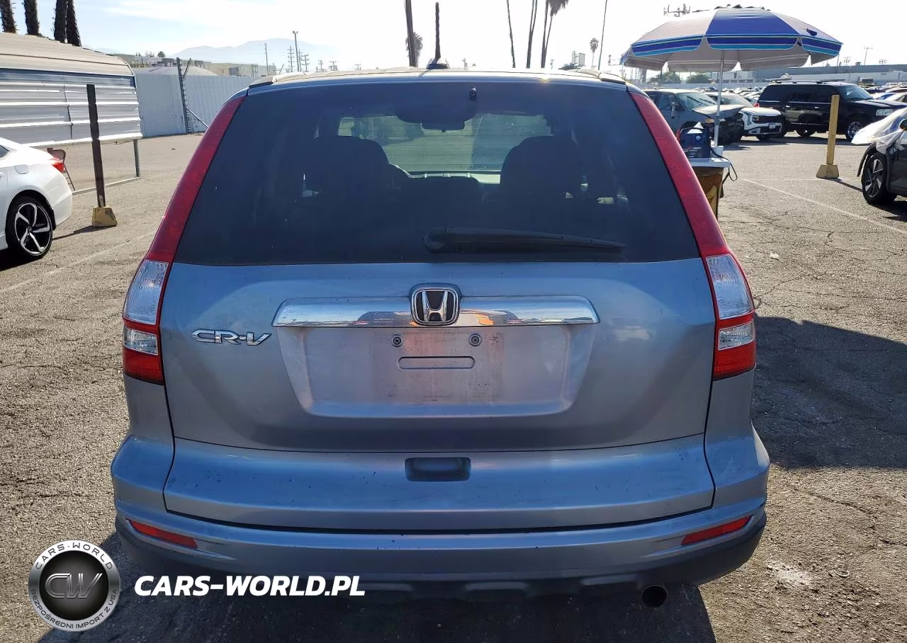 2010 Honda Cr-V Exl VIN:5J6RE3H73AL006381 - 6
