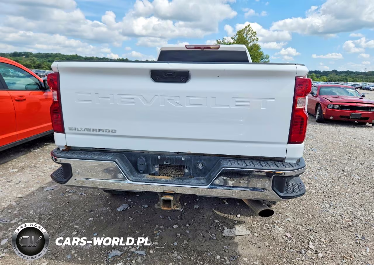 2022 Chevrolet Silverado K3500 VIN:1GC4YSE79NF196018 - 6
