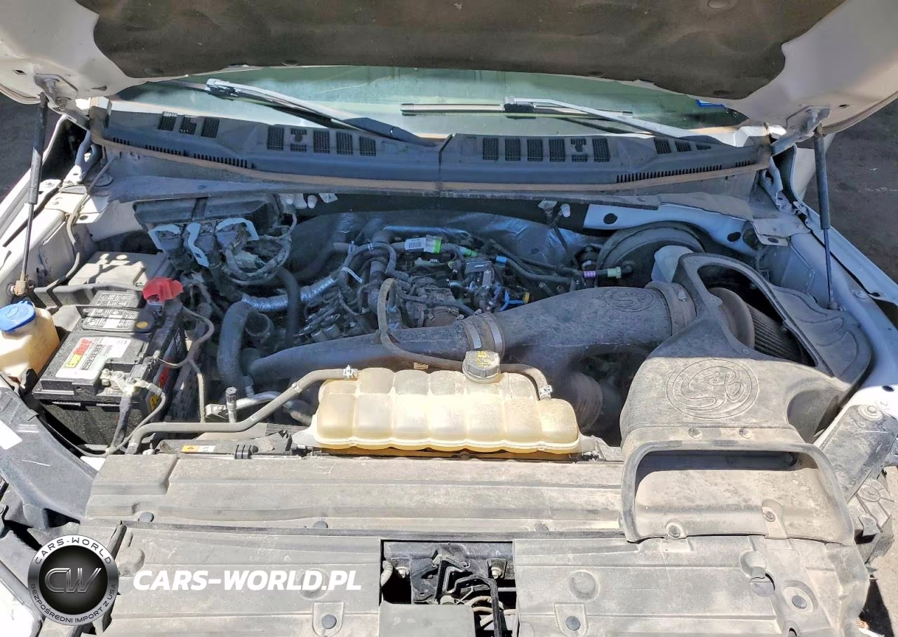 2019 Ford F150 Supercrew VIN:1FTEW1CPXKFB24862 - 11