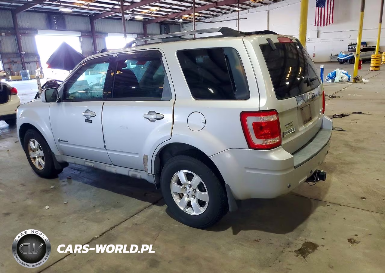 2009 Ford Escape Hybrid VIN:1FMCU59309KB25573 - 2