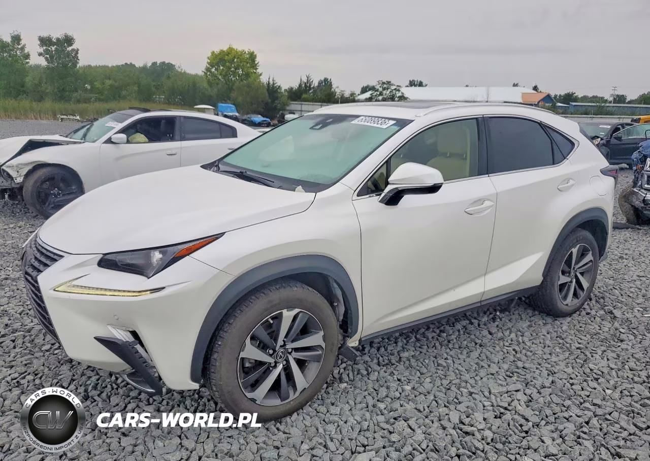 2019 Lexus Nx 300 Base