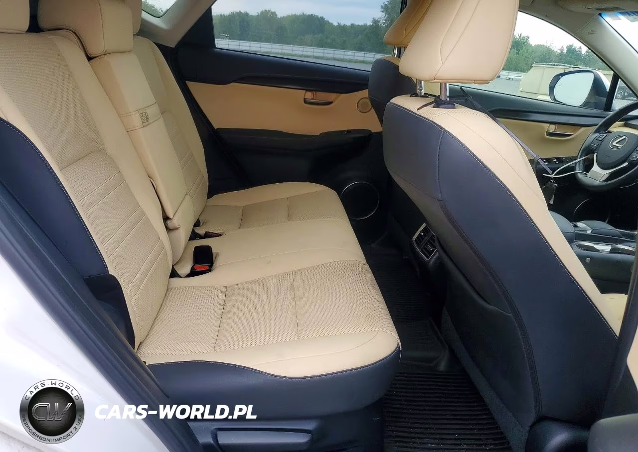 2019 Lexus Nx 300 Base VIN:JTJBARBZ4K2193683 - 11
