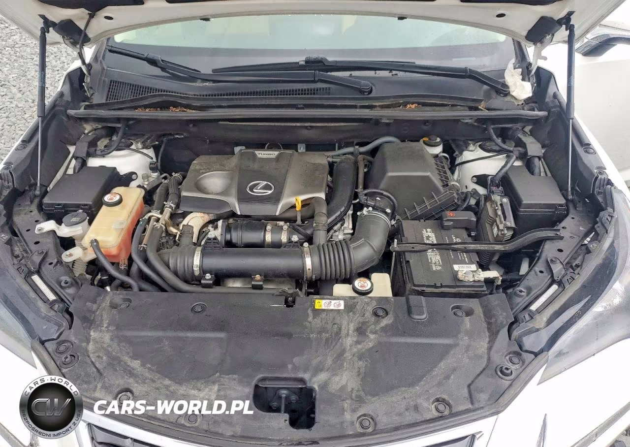 2019 Lexus Nx 300 Base VIN:JTJBARBZ4K2193683 - 12