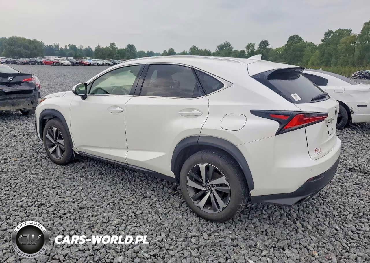 2019 Lexus Nx 300 Base VIN:JTJBARBZ4K2193683 - 2