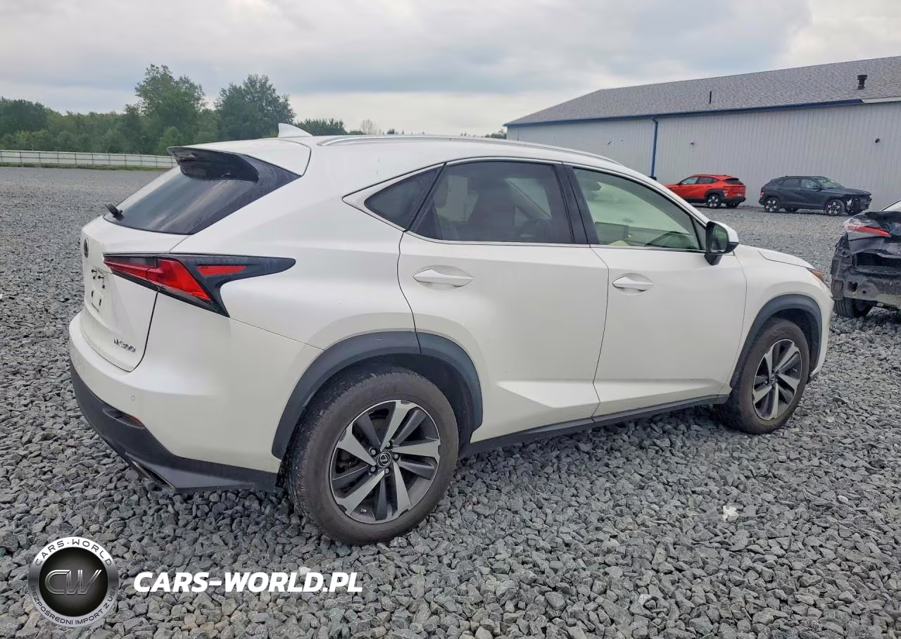 2019 Lexus Nx 300 Base VIN:JTJBARBZ4K2193683 - 3